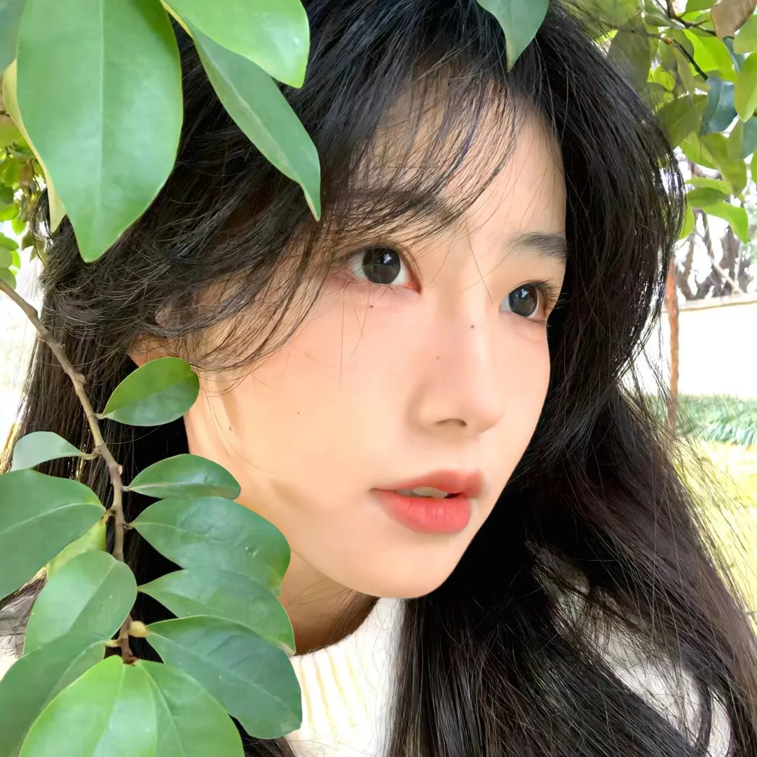金沙萨的孩子们